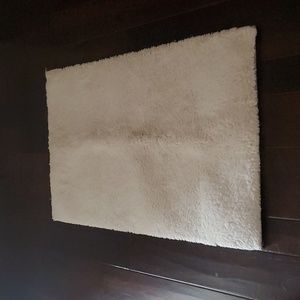 Plush White Shag Rug